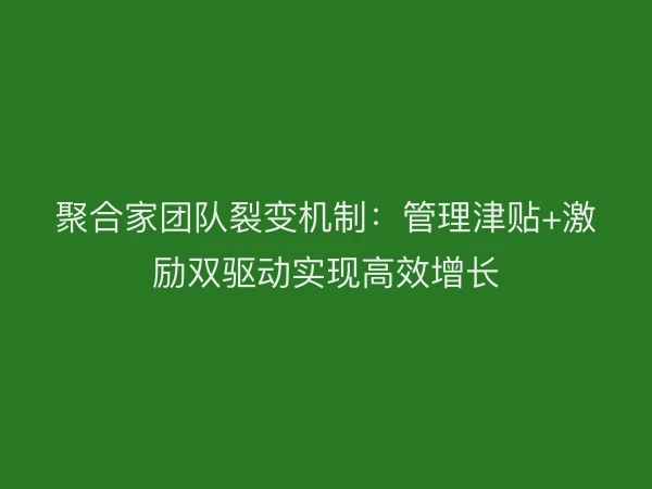 聚合家团队裂变机制：管理津贴+激励双驱动实现高效增长