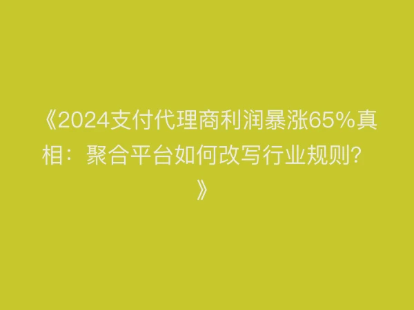 《2024支付代理商利润暴涨65%真相：聚合平台如何改写行业规则？》