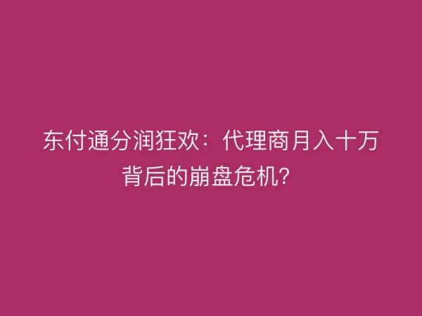 东付通分润狂欢：代理商月入十万背后的崩盘危机？