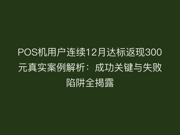 POS机用户连续12月达标返现300元真实案例解析：成功关键与失败陷阱全揭露