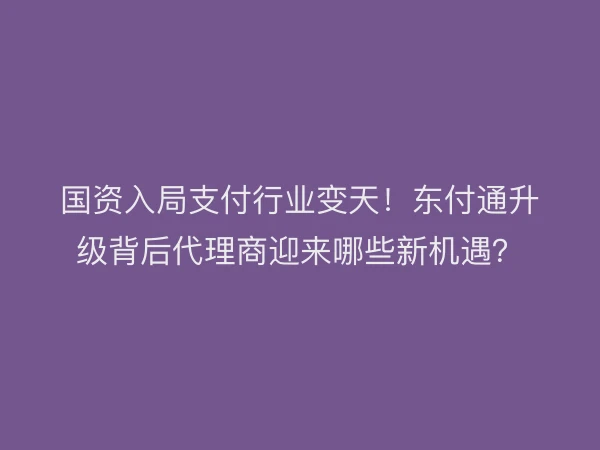 国资入局支付行业变天！东付通升级背后代理商迎来哪些新机遇？