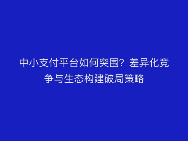 中小支付平台如何突围？差异化竞争与生态构建破局策略
