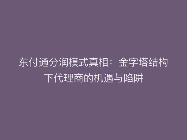东付通分润模式真相：金字塔结构下代理商的机遇与陷阱