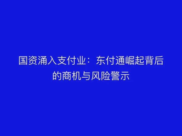 国资涌入支付业：东付通崛起背后的商机与风险警示