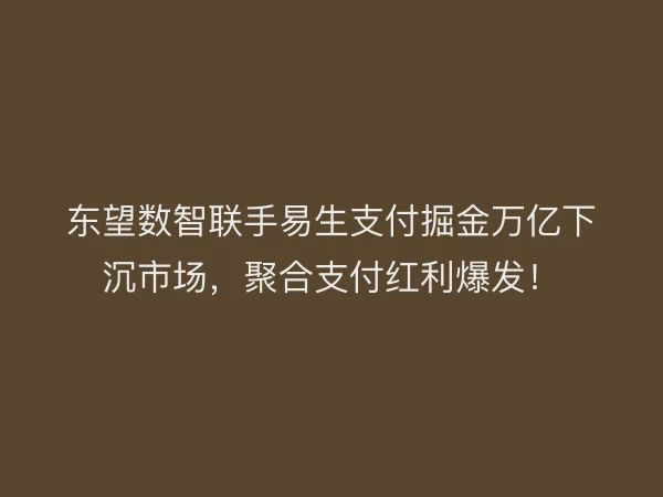 东望数智联手易生支付掘金万亿下沉市场，聚合支付红利爆发！